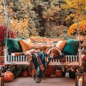 Meet your Posher, Yvette